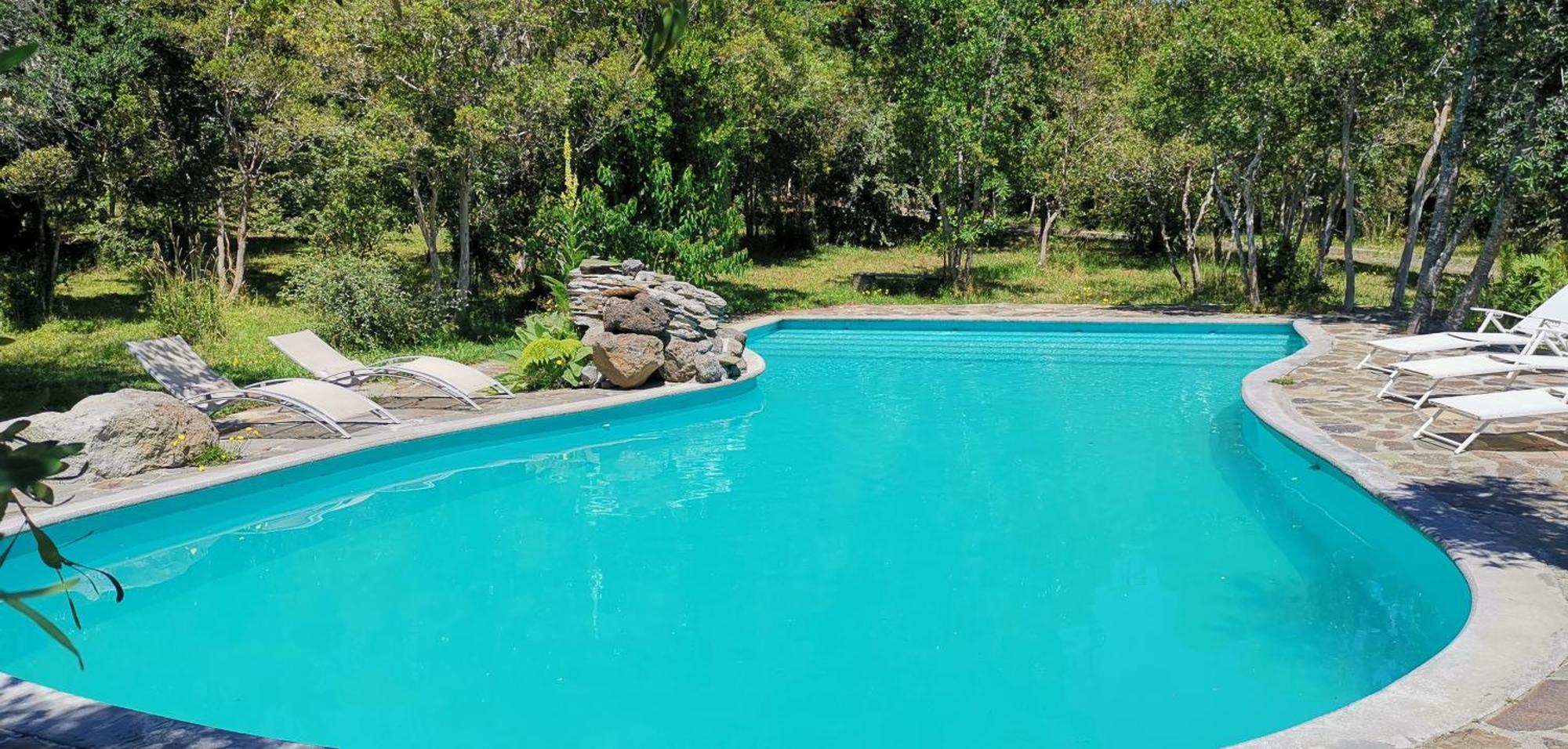 Bambu Lodge Pucón Eksteriør bilde